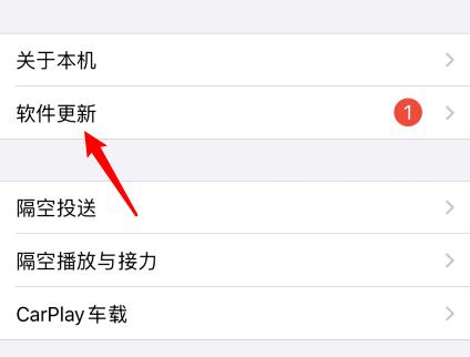 苹果手机怎么升级ios14正式版？苹果手机升级ios14正式版的方法图片3