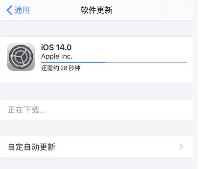 苹果怎么更新ios14？苹果更新ios14的方法图片4