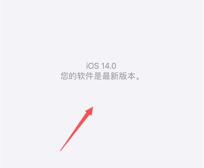 苹果怎么更新ios14？苹果更新ios14的方法图片6