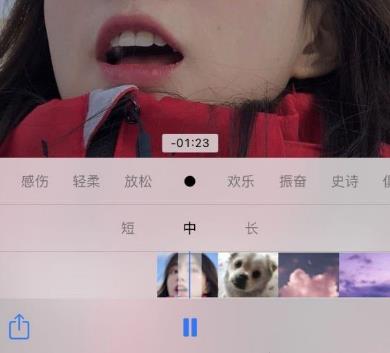iOS14如何添加照片到桌面？iOS14添加照片到桌面的方法图片4