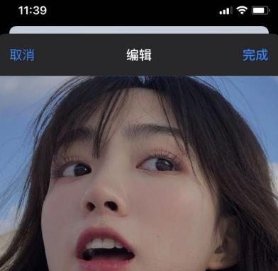 iOS14如何添加照片到桌面？iOS14添加照片到桌面的方法图片5