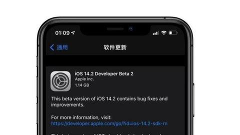 iOS 14.2 Beta版值得升级吗？iOS 14.2 Beta版升级建议图片2