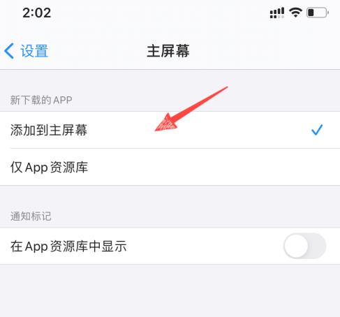 ios14下载的app桌面没有怎么办？ios14下载的app桌面没有的解决方法分享图片4
