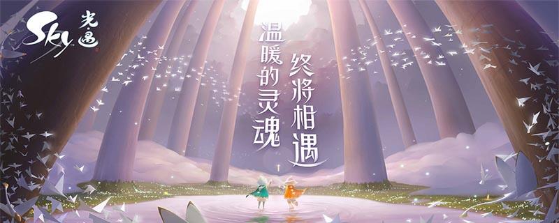 光遇光头多少心