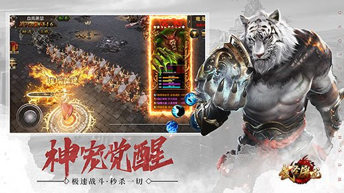 《武圣屠龙》神宠进化 无限石化横扫BOSS