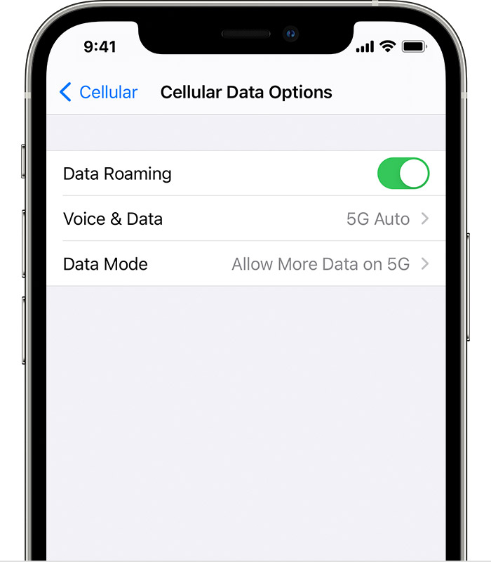 如何在iPhone 12上使用5G？不显示选项怎么办图片2