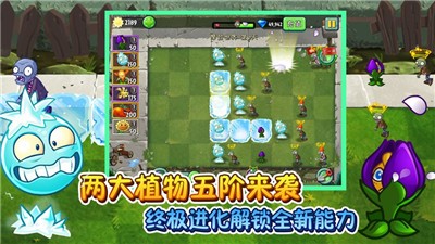 植物大战僵尸2元旦版