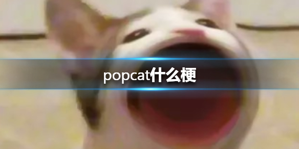 菜鸟下载1