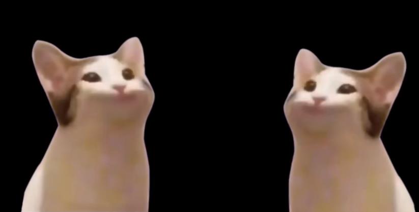 菜鸟下载3