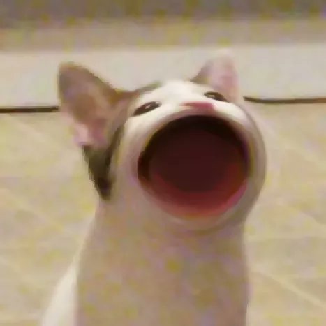 菜鸟下载6