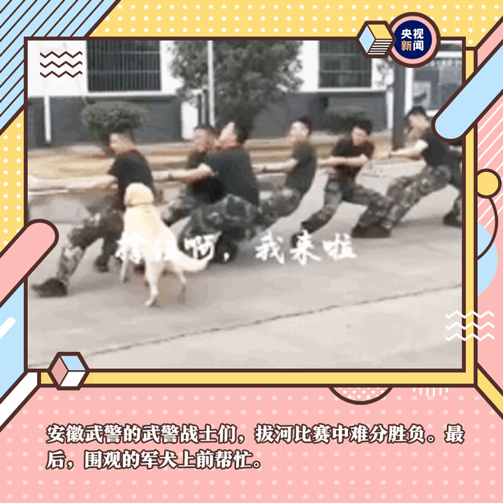 菜鸟下载9