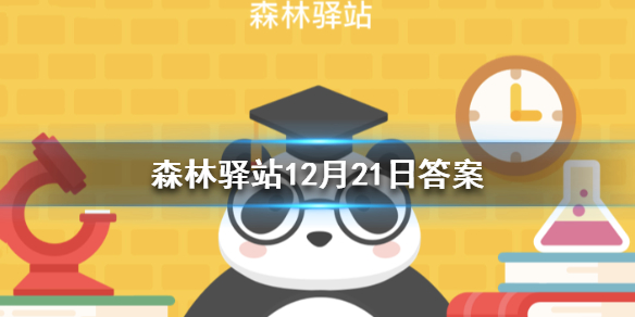 菜鸟下载1