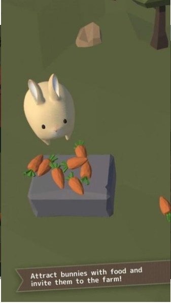 兔子真是太可爱了2