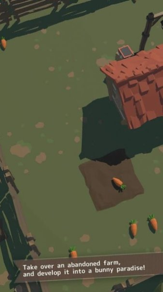 兔子真是太可爱了2