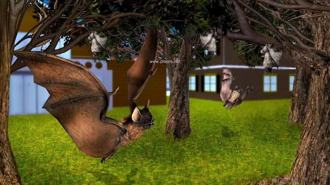 吸血蝙蝠模拟器3D