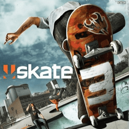 skate3