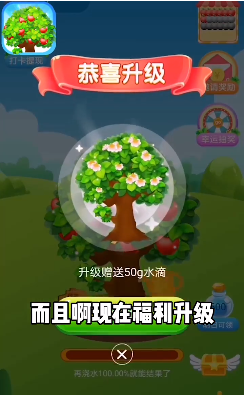 快乐果园圣诞版app