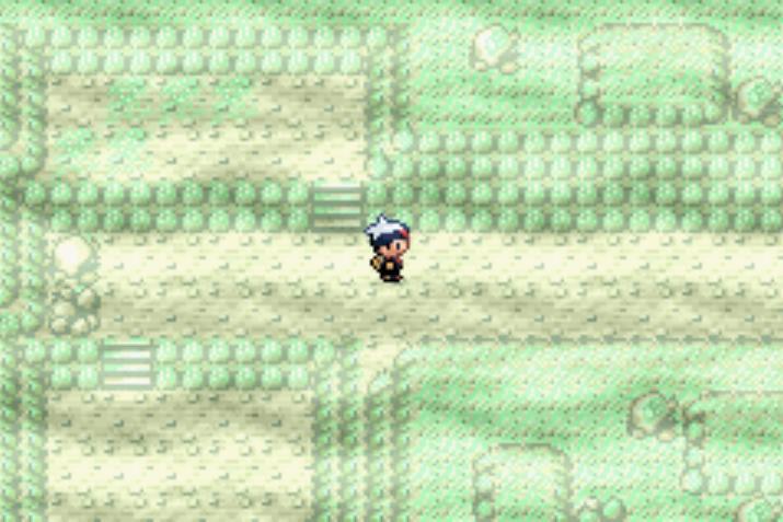 口袋妖怪复刻破解版无限钻石金币