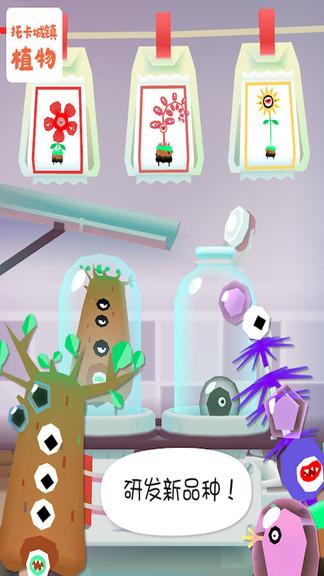 托卡城镇大自然