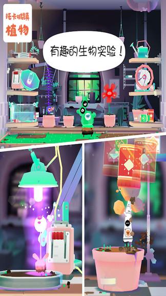 托卡城镇大自然