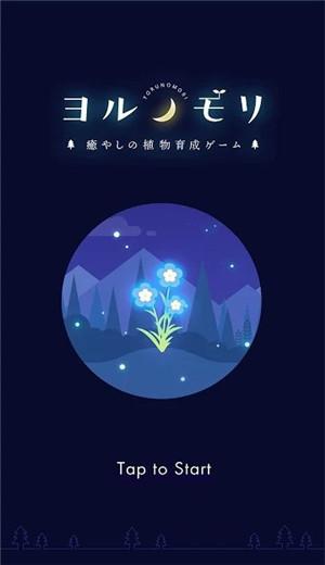 夜之森