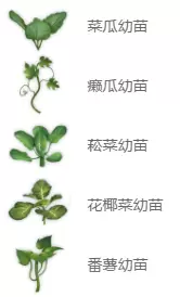 菜鸟下载3