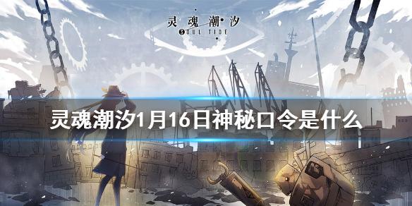 灵魂潮汐每日神秘口令分享 1月16日神秘口令是什么
