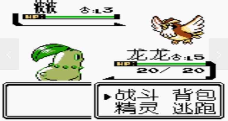 精灵宝可梦仲夏夜之梦