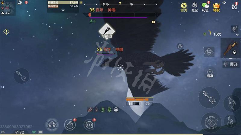 妄想山海神雕怎么抓 妄想山海神雕捕捉方法一览