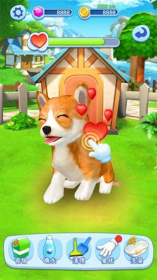 宠物大乐园游戏