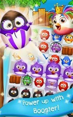 鸟类流行狂热红包版