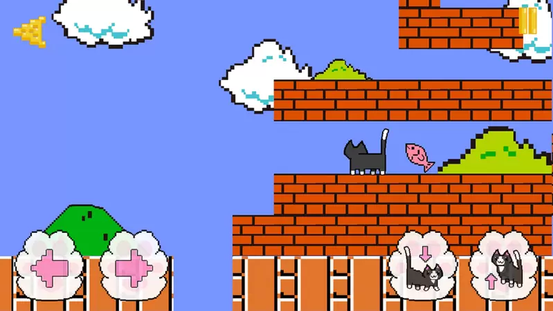 我家有只残疾猫