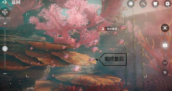 菜鸟下载4