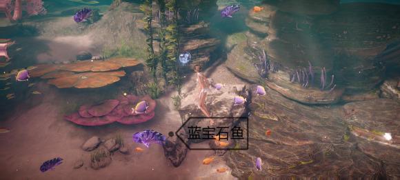 菜鸟下载5