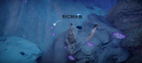 菜鸟下载6