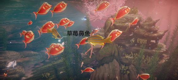 菜鸟下载10