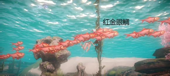 菜鸟下载16