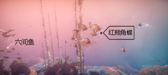 菜鸟下载14