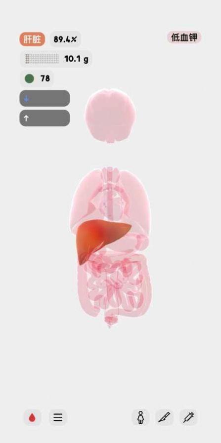 生命人体沙盒模拟器