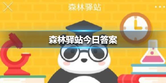 菜鸟下载1