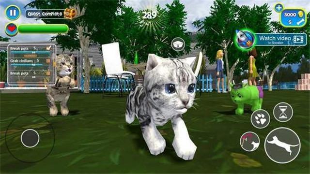 Virtual cat simulator