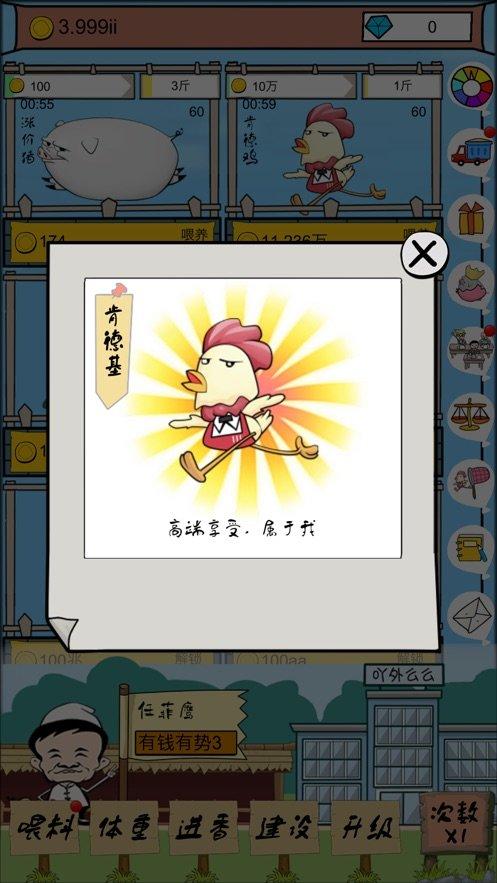 辞职去养猪赚钱版