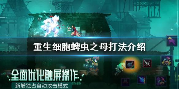 菜鸟下载1