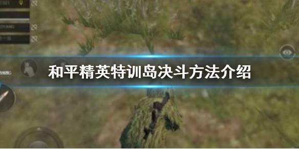 和平精英特训岛怎么邀请别人决斗 和平精英特训岛决斗方法介绍