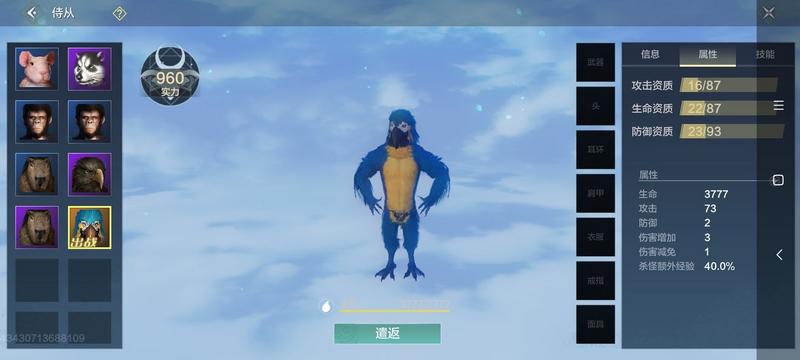 妄想山海金刚鹦鹉多少钱？金刚鹦鹉价格介绍