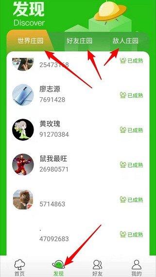 全民种豆赚钱版