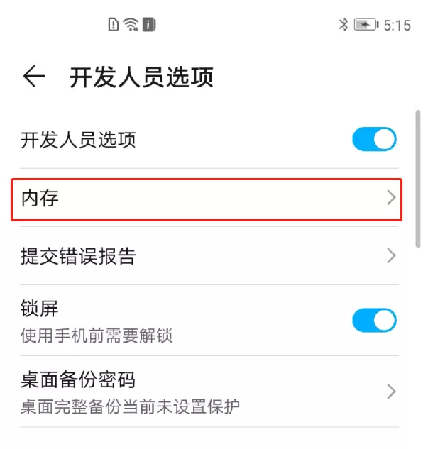 荣耀v40怎么显示运行内存？