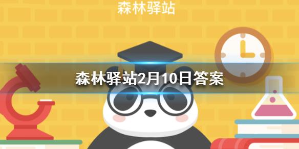 菜鸟下载1