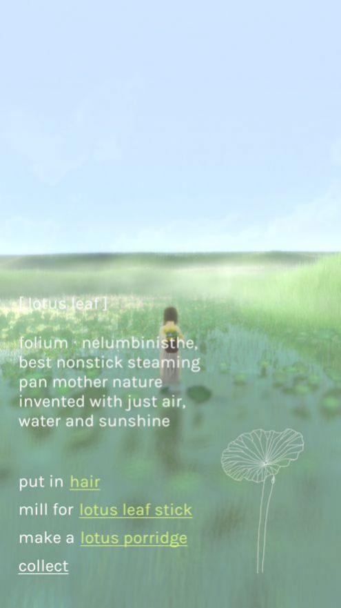 freeland心旷之地