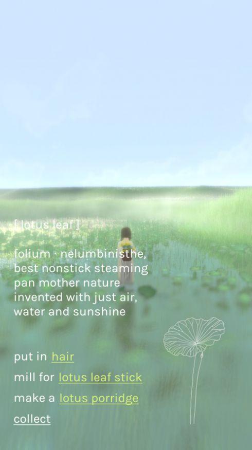 freeland心旷之地